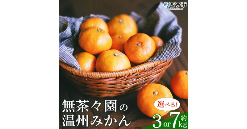 【ふるさと納税】先行予約 ＜無茶々園 温州みかん 約3kg／7kg＞ 果物 くだもの ミカン 蜜柑 柑橘 フルーツ うんしゅうみかん 選べる内容量 贈り物 ギフト おいしい 期間限定 季節限定 食べて応援 特産品 愛媛県 西予市 【常温】『2024年11月～12月に順次出荷予定』