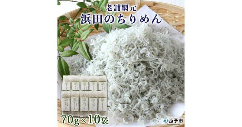 【ふるさと納税】＜老舗網元 浜田のちりめん 計700g(70g×10袋)＞ かたくちいわし 小魚 カルシウム 乾物 小分け 国産 マルヨシ水産 特産品 愛媛県 西予市 【冷蔵】『1か月以内に順次出荷予定』