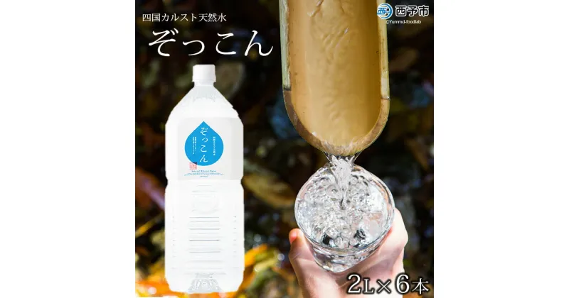 【ふるさと納税】＜四国カルスト天然水ぞっこん 2L×6本 計12L＞飲料 水 みず 中硬水 弱アルカリイオン水 ペットボトル ウォーター バナジウム 備蓄 防災 非常用 キャンプ アウトドア 国産 特産品 ぞっこん四国 愛媛県 西予市【常温】『1か月以内に順次出荷予定』