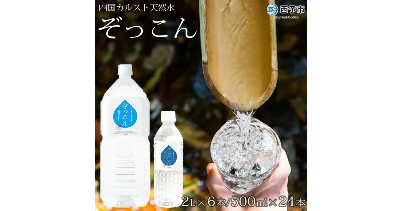 【ふるさと納税】＜四国カルスト天然水ぞっこん 2L×6本+500ml×24本＞飲料 水 みず 中硬水 弱アルカリイオン水 ペットボトル ウォーター バナジウム 備蓄 防災 非常用 キャンプ アウトドア 国産 特産品 ぞっこん四国 愛媛県 西予市【常温】『1か月以内に順次出荷予定』