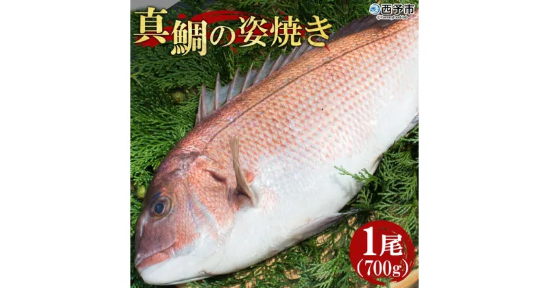 【ふるさと納税】＜真鯛の姿焼き 1尾(700g)＞※1か月以内に順次出荷 まだい マダイ たい お祝い 記念日 養殖 特産品 松下海産 魚 愛媛県 西予市 【冷凍】