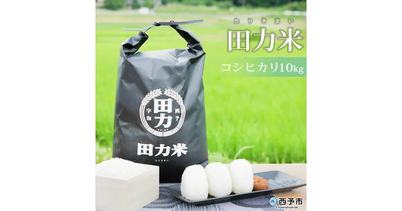 【ふるさと納税】新米＜令和6年産 田力米 10kg コシヒカリ＞お米 こめ コメ 白米 精米 こしひかり ご飯 ごはん 特産品 産地直送 田力本願 愛媛県 西予市【常温】『1か月以内に順次出荷予定』