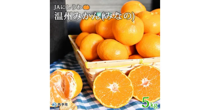 【ふるさと納税】＜JAにしうわ 温州みかん（みなの）約5kg＞ 果物 くだもの うんしゅう ミカン 蜜柑 柑橘類 フルーツ 特産品 西宇和農業協同組合 愛媛県 西予市 【常温】『2024年11月下旬～12月中旬迄に順次出荷予定』