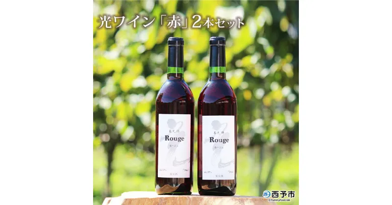 【ふるさと納税】＜光ワイン「赤」720ml 2本セット＞※1か月以内に順次出荷します。 お酒 アルコール お祝い 内祝い 家飲み 宅飲み 乾杯 光農場 特産品 愛媛県 西予市 【常温】