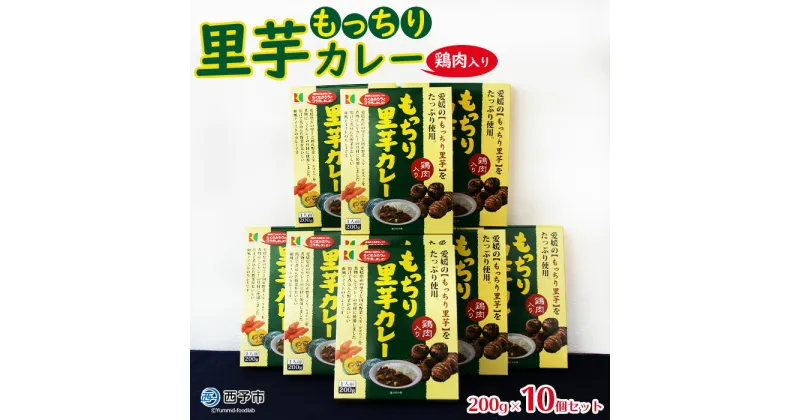 【ふるさと納税】ご当地カレー＜もっちり里芋カレー 10個＞レトルト食品 惣菜 加工品 キャンプ 夜食 保存食 非常食 防災 備蓄 長期保存 ローリングストック アール・シー・フードパック 特産品 愛媛県 西予市【常温】『1か月以内に順次出荷予定』