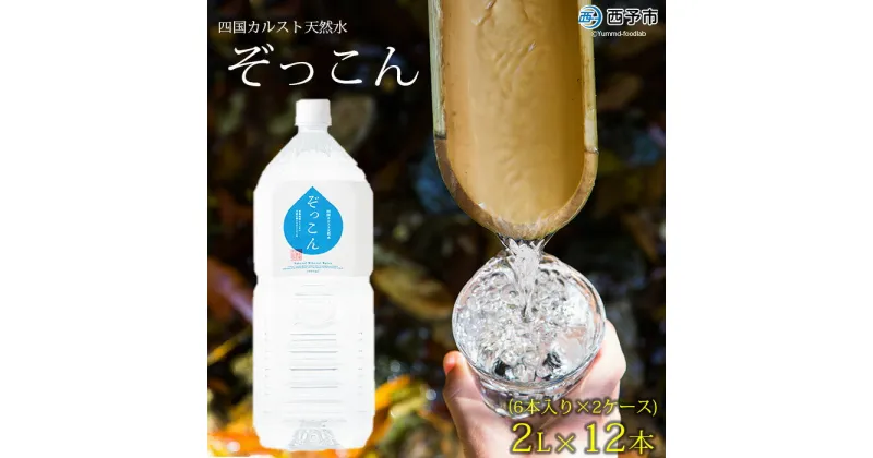 【ふるさと納税】＜四国カルスト天然水ぞっこん 2L(6本入り)×2ケース 計12本＞ 飲料 水 みず 中硬水 弱アルカリイオン水 ペットボトル ウォーター バナジウム 備蓄 防災 非常用 キャンプ アウトドア 国産 ぞっこん四国 愛媛県 西予市【常温】『1か月以内に順次出荷予定』