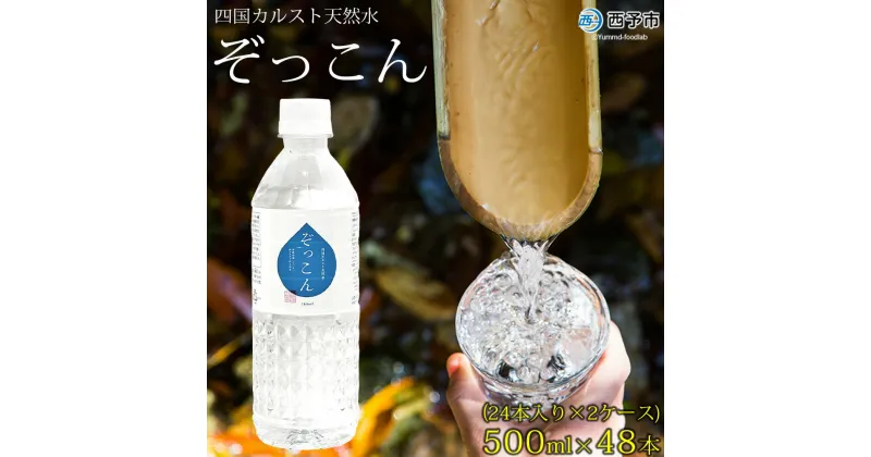 【ふるさと納税】＜四国カルスト天然水ぞっこん 500ml(24本入り)×2ケース 計48本＞ 飲料水 みず 中硬水 弱アルカリイオン水 ペットボトル ウォーター バナジウム 備蓄 防災 非常用 キャンプ アウトドア 国産 ぞっこん四国 愛媛県 西予市【常温】『1か月以内に順次出荷予定』