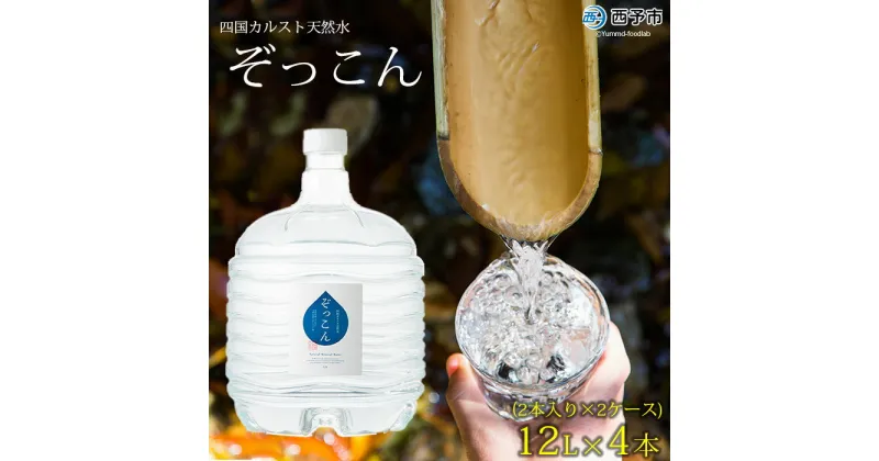 【ふるさと納税】＜四国カルスト天然水ぞっこん (12L×2本)×2ケース 計4本＞ 飲料 水 みず 中硬水 弱アルカリイオン水 ガロンボトル ウォーター バナジウム 備蓄 防災 キャンプ アウトドア 国産 特産品 ぞっこん四国 愛媛県 西予市【常温】『1か月以内に順次出荷予定』