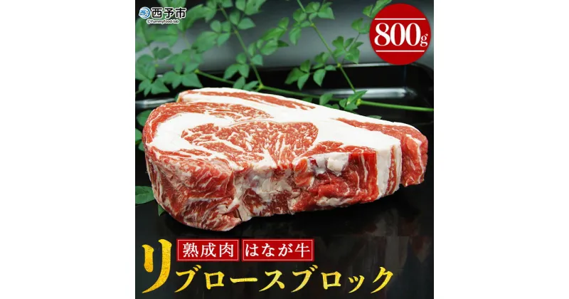 【ふるさと納税】＜熟成肉 はなが牛リブロースブロック 800g＞ 牛肉 ステーキ 鉄板焼き 焼き肉 国産 塊肉 かたまり 霜降り しもふり バーベキュー BBQ キャンプ アウトドア 特産品 ゆうぼく 愛媛県 西予市【冷凍】『1か月以内に順次出荷予定』