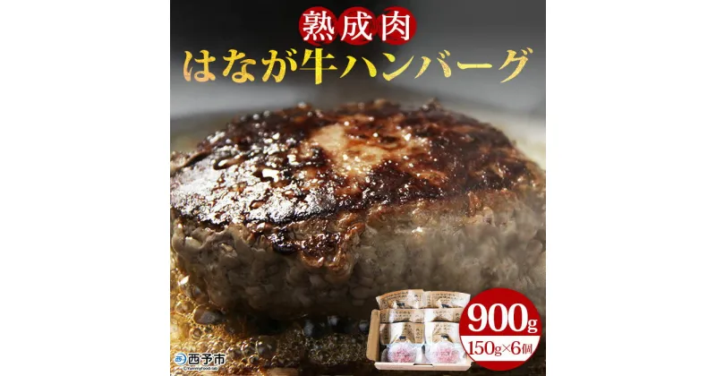 【ふるさと納税】＜熟成肉 はなが牛ハンバーグ 150g×6個 計900g＞ お肉 牛肉 ビーフ 牛100％ 肉加工品 無添加 お惣菜 洋食 おかず おつまみ お弁当 ランチ ディナー 国産 小分け 個包装 簡単調理 特産品 ゆうぼく 愛媛県 西予市 【冷凍】『1か月以内に順次出荷予定』