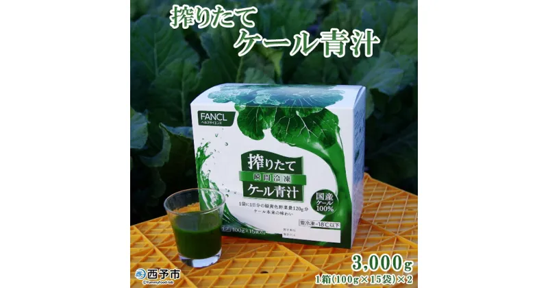 【ふるさと納税】＜ファンケル 西予市産 搾りたてケール青汁 3,000g 1箱(100g×15袋×2)＞※1か月以内に順次出荷 濃縮野菜 国産 あおじる 無添加 ミネラル農法 化学農薬不使用 飲料 ドリンク 飲み物 小分け FANCL 産地直送 特産品 グリーンヒル 愛媛県 西予市【冷凍】