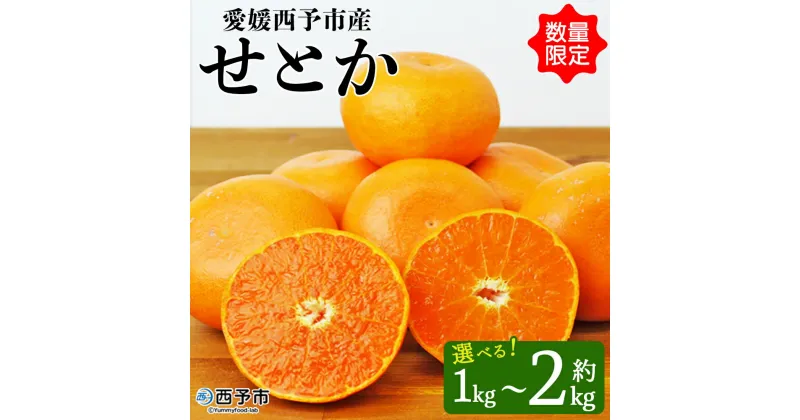 【ふるさと納税】先行予約 数量限定＜愛媛西予市産 せとか 約1kg／2kg＞ 果物 くだもの フルーツ 柑橘類 ミカン みかん 甘い 特産品 糖度 家庭用 自宅用 産地直送 渡江から一歩を踏み出す会 食べて応援 愛媛県 西予市 【常温】『2025年3月上旬～3月下旬迄に順次出荷予定』