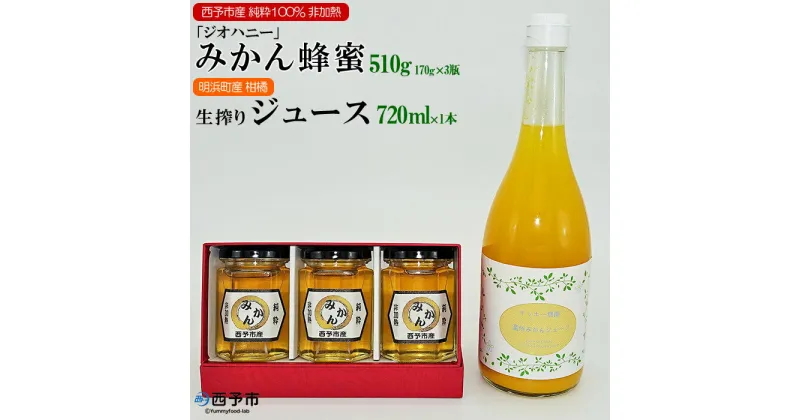 【ふるさと納税】＜みかん蜂蜜「ジオハニー」170g3瓶+柑橘生搾りジュース720ml1本＞※1か月以内に順次出荷 はちみつ みかん 柑橘 ジュース 非加熱 純粋100％ 飲んで応援 愛媛県 西予市 【常温】