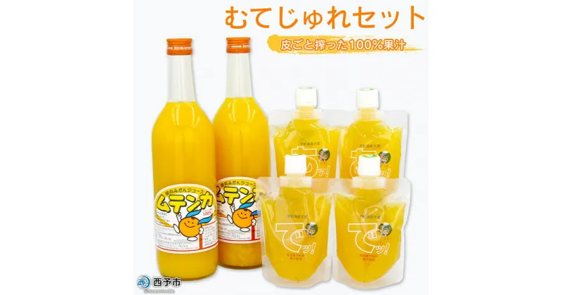 【ふるさと納税】＜むてじゅれセット（みかんジュース「ムテンカ」720ml×2本 じゅれ 2種×2個）MJ-2＞温州みかん ミカン 飲むゼリー あけはまシーサイドサンパーク 贈答用 愛媛県西予市【常温】『1か月以内に順次出荷予定』