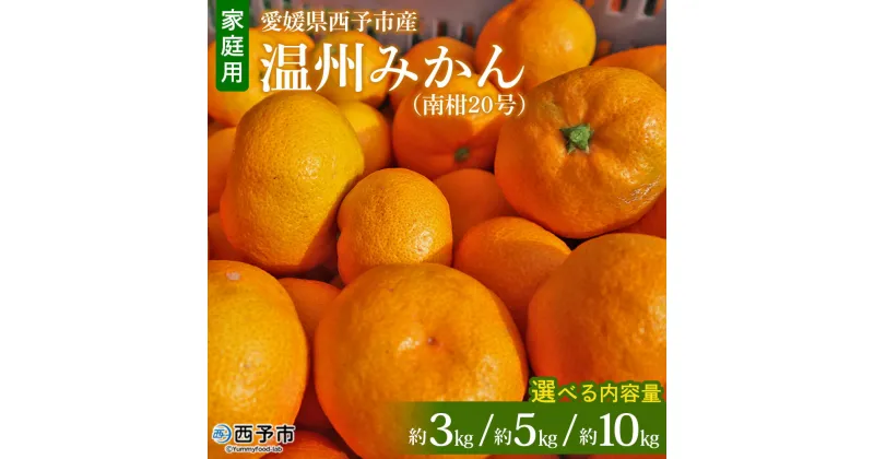 【ふるさと納税】先行予約 ＜愛媛県西予市産 温州みかん（南柑20号）家庭用 約3kg／5kg／10kg（サイズ不揃い・小傷あり）＞ 訳あり 果物 くだもの ミカン 柑橘 フルーツ 食べて応援 特産品 段畑みかん 愛媛県 西予市【常温】『2024年11月下旬～12月下旬迄に順次出荷予定』