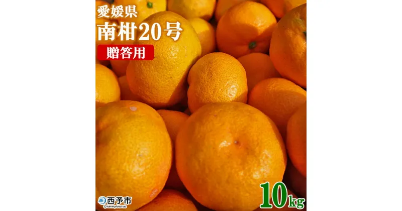 【ふるさと納税】先行予約 ＜愛媛県西予市産 温州みかん（南柑20号）贈答用 約10kg＞ 果物 くだもの ミカン 蜜柑 ギフト 柑橘 フルーツ 食べて応援 特産品 産地直送 段畑みかん 愛媛県 西予市【常温】『2024年11月下旬～12月下旬迄に順次出荷予定』