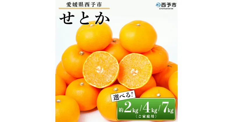 【ふるさと納税】先行予約＜愛媛県西予市産 せとか ご家庭用 約2kg／4kg／7kg＞ 訳あり 不揃い 傷 果物 フルーツ みかん ミカン 蜜柑 セトカ オレンジ 柑橘類 選べる 甘い 期間限定 食べて応援 特産品 宇都宮物産 【常温】『2025年2月下旬～4月上旬迄に順次出荷予定』