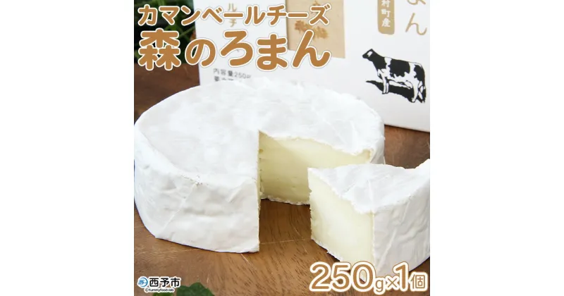 【ふるさと納税】＜カマンベールチーズ 「森のろまん」 250g×1個 ＞ ちーず 発酵食品 乳製品 加工品 生乳 伯方の塩 おつまみ ワイン おかず ピザ フォンデュ お料理 特産品 箱入り ギフト 国産 ほわいとファーム 愛媛県 西予市 【冷蔵】『1か月以内に順次出荷予定』