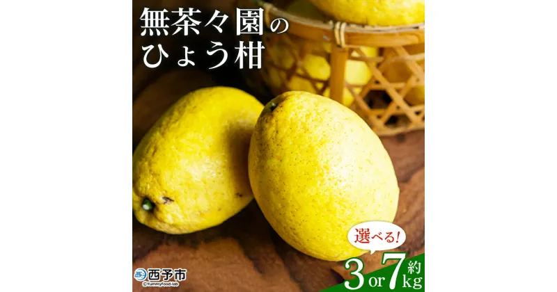 【ふるさと納税】先行予約 ＜無茶々園のひょう柑 約3kg／7kg＞ 果物 みかん くだもの ミカン 蜜柑 柑橘類 フルーツ 選べる内容量 ひょうかん ヒョウカン 弓削瓢柑 旬 期間限定 数量限定 特産品 愛媛県 西予市【常温】『2025年4月上旬～5月上旬迄に順次出荷予定』