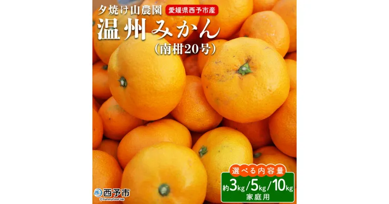 【ふるさと納税】先行予約 ＜夕焼け山農園 愛媛県西予市産 温州みかん 家庭用 約3kg／5kg／10kg（南柑20号）＞果物 フルーツ ミカン 蜜柑 柑橘 なんかん 訳あり うんしゅうみかん ウンシュウ 特産品 愛媛県 西予市 【常温】『2024年12月上旬～12月下旬迄に順次出荷予定』