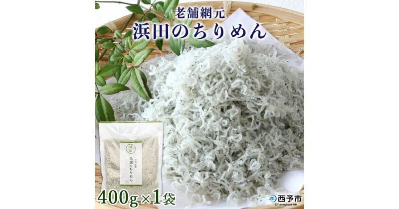 【ふるさと納税】＜老舗網元 浜田のちりめん(400g×1袋)＞ かたくちいわし カタクチイワシ 小魚 のし対応可 お祝い 内祝い ギフト 贈答 贈り物 プレゼント カルシウム 乾物 国産 マルヨシ水産 特産品 愛媛県 西予市 【冷蔵】『1か月以内に順次出荷予定』