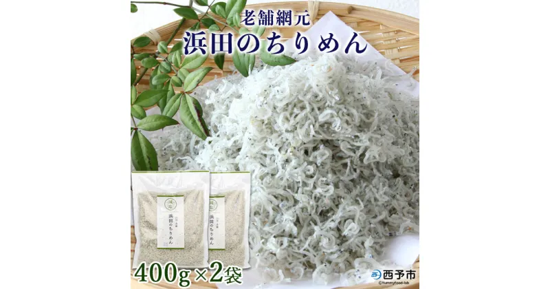 【ふるさと納税】＜老舗網元 浜田のちりめん 800g(400g×2袋)＞ かたくちいわし カタクチイワシ 小魚 のし対応可 お祝い 内祝い ギフト 贈答 贈り物 プレゼント カルシウム 乾物 小分け 国産 マルヨシ水産 特産品 愛媛県 西予市【冷蔵】『1か月以内に順次出荷予定』