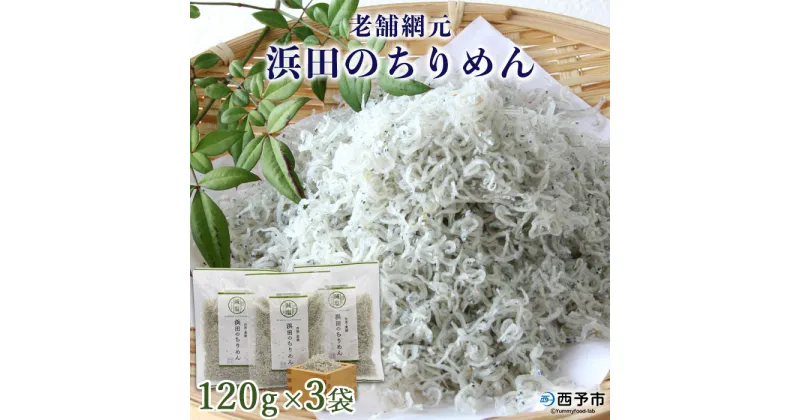 【ふるさと納税】＜老舗網元 浜田のちりめん 360g(120g×3袋)＞ かたくちいわし カタクチイワシ 小魚 のし対応可 お祝い 内祝い ギフト 贈答 贈り物 プレゼント カルシウム 乾物 小分け 国産 マルヨシ水産 特産品 愛媛県 西予市【冷蔵】『1か月以内に順次出荷予定』