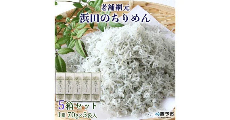 【ふるさと納税】＜老舗網元 浜田のちりめん 5箱セット(1箱 70g×5袋入)＞かたくちいわし カタクチイワシ 小魚 のし対応可 お祝い 内祝い ギフト 贈答 贈り物 乾物 お中元 お土産 小分け 国産 マルヨシ水産 特産品 愛媛県 西予市 【冷蔵】『1か月以内に順次出荷予定』