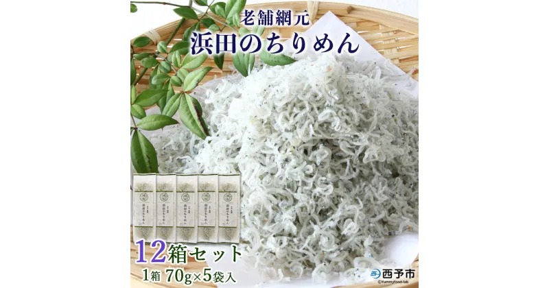 【ふるさと納税】＜老舗網元 浜田のちりめん 12箱セット(1箱 70g×5袋入)＞かたくちいわし カタクチイワシ 小魚 のし対応可 お祝い 内祝い ギフト 贈答 贈り物 乾物 お中元 お土産 小分け 国産 マルヨシ水産 特産品 愛媛県 西予市【冷蔵】『1か月以内に順次出荷予定』