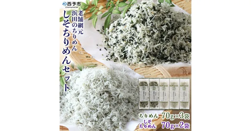 【ふるさと納税】＜老舗網元 浜田のちりめん しそちりめんセット(ちりめん70g×3袋 しそちりめん70g×2袋)＞かたくちいわし カタクチイワシ 小魚 のし対応可 お祝い ギフト 贈答 乾物 小分け 国産 マルヨシ水産 特産品 愛媛県 西予市【冷蔵】『1か月以内に順次出荷予定』