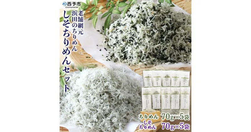 【ふるさと納税】＜老舗網元 浜田のちりめん しそちりめんセット(ちりめん70g×5袋 しそちりめん70g×5袋)＞かたくちいわし カタクチイワシ 小魚 のし対応可 お祝い ギフト 贈答 乾物 小分け 国産 マルヨシ水産 特産品 愛媛県 西予市【冷蔵】『1か月以内に順次出荷予定』