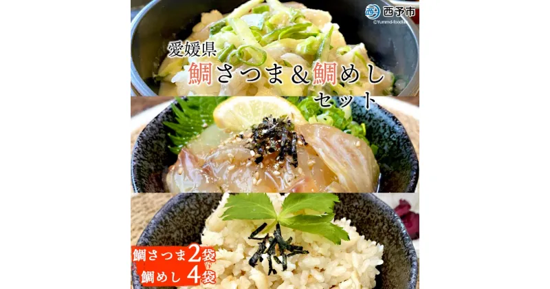 【ふるさと納税】＜愛媛県　鯛さつま＆鯛めしセット（鯛さつま2袋・鯛めし4袋）＞※1か月以内に順次出荷 魚 海産物 郷土料理 たい 丼 食べ比べ 野福 特産品 愛媛県 西予市 【冷凍】