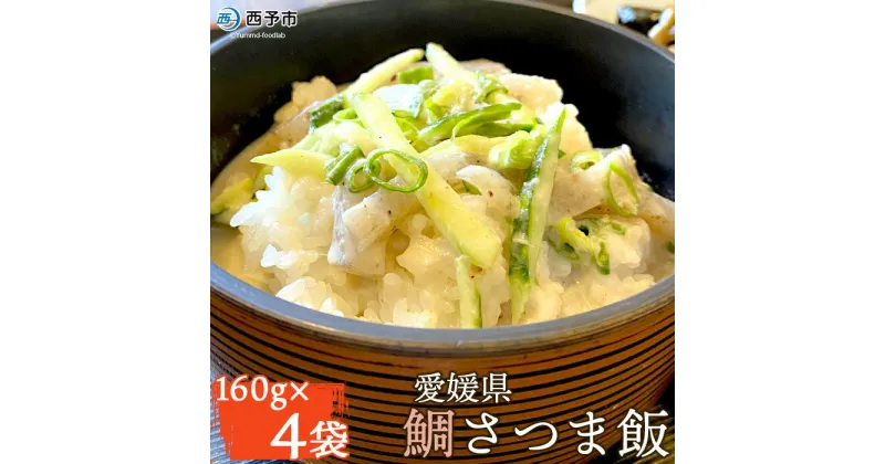 【ふるさと納税】＜愛媛県 鯛さつま飯（160g×4袋）＞※1か月以内に順次出荷 魚 海産物 郷土料理 たい 丼 お祝い 野福 特産品 愛媛県 西予市【冷凍】