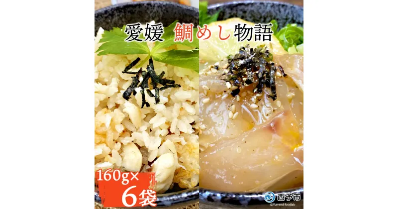 【ふるさと納税】＜愛媛 鯛めし物語（160g×6袋）＞※1か月以内に順次出荷 魚 海産物 郷土料理 たい 丼 食べ比べ お祝い 野福 特産品 愛媛県 西予市 【冷凍】