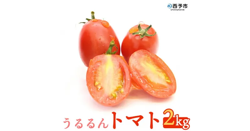 【ふるさと納税】＜「うるるんトマト」約2kg（250g×4パック×2箱） 甘くて濃厚な味わい＞ 野菜 とまと ミニトマト 特産品 食べて応援 くまさん農園 愛媛県 西予市【常温】『1か月以内に順次出荷予定』