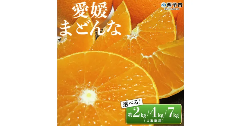 【ふるさと納税】先行予約 紅まどんなと同品種！＜愛媛県西予市産 愛媛まどんな 家庭用 約2kg／4kg／7kg＞ 訳あり 柑橘 果物 フルーツ オレンジ 愛媛果試第28号 期間限定 選べる マドンナ 食べて応援 宇都宮物産【常温】『2024年12月上旬～2025年1月中旬迄に順次出荷予定』