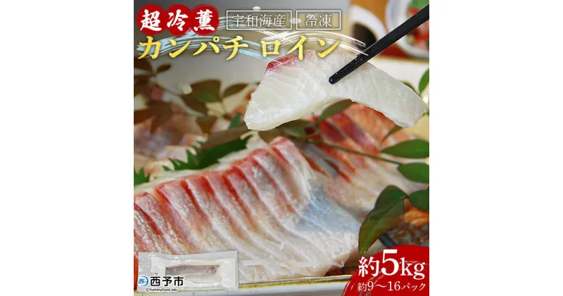 【ふるさと納税】＜宇和海産「超冷薫」冷凍カンパチ ロイン約5kg（9～16パック）＞ かんぱち 魚介類 さかな 新鮮 水産物 お刺身 さしみ 煮物 焼き魚 血抜き 骨なし 個包装 パーティー キャンプ お祝い 内祝い 御礼 ダイニチ 愛媛県 西予市【冷凍】『1か月以内に順次出荷』