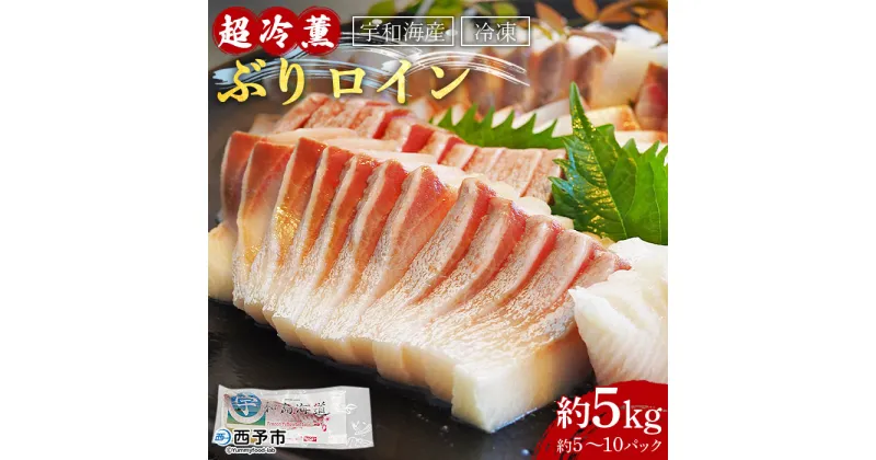 【ふるさと納税】＜宇和海産「超冷薫」冷凍ぶり ロイン 5kg（5～10パック入り）＞ ブリ 鰤 魚介類 さかな 新鮮 水産物 お刺身 さしみ 煮物 照り焼き 骨なし 血抜き 個包装 切り身 パーティー キャンプ お祝い 内祝い ダイニチ 愛媛県 西予市【冷凍】『1か月以内に順次出荷』