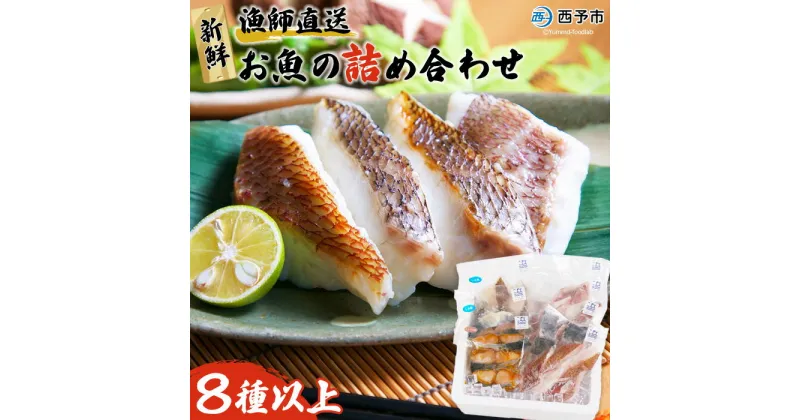 【ふるさと納税】＜漁師直送 新鮮お魚の詰め合わせ＞ 魚 さかな つめあわせ お楽しみ 8種以上 麹漬け 切り身 おかず おつまみ 下処理済み 簡単 海鮮 海産物 海鮮セット サワラ 明浜町産 二ノ宮商事株式会社 愛媛県 西予市【冷凍】『1か月以内に順次出荷予定』