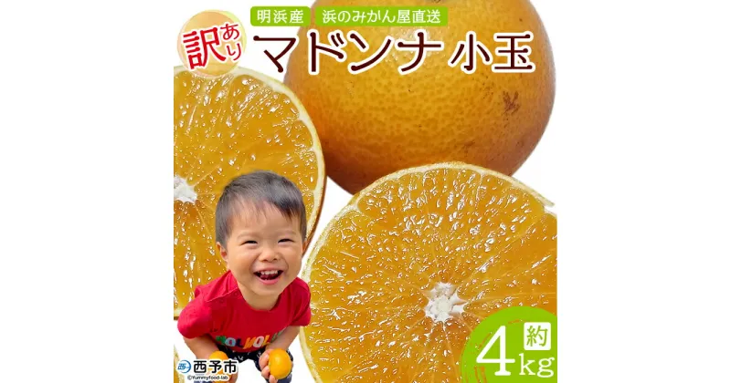 【ふるさと納税】紅まどんなと同品種！＜訳あり マドンナ 約4kg（小玉） 浜のみかん屋直送＞ 明浜産 果物 フルーツ みかん オレンジ 柑橘類 愛媛果試第28号 ご家庭用 自宅用 食べて応援 特産品 産地直送 愛媛県 西予市【常温】『2024年12月上旬～12月中旬迄に順次出荷予定』