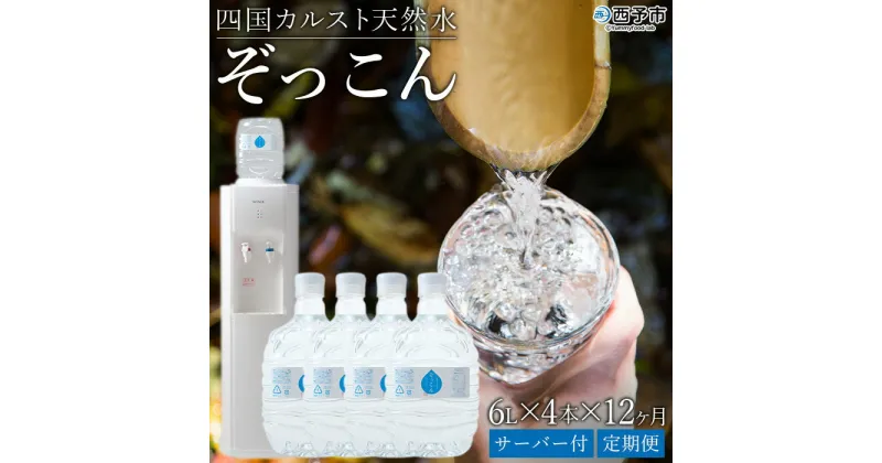 【ふるさと納税】＜四国カルスト天然水ぞっこん 6L×4本×12ヶ月定期便 サーバー付＞ 飲料水 中硬水 弱アルカリイオン水 ガロンボトル ウォーター バナジウム 備蓄 防災 キャンプ アウトドア 国産 特産品 ぞっこん四国 愛媛県 西予市 【常温】『1か月以内に第1回目を出荷』