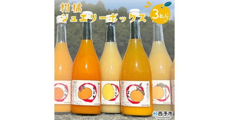 【ふるさと納税】＜西予市産柑橘ジュエリーボックス 720ml×3本入り（無添加果汁100％ジュース）＞ みかん 柑橘 果物 フルーツ ぽんかん しらぬい せとか 紅まどんな 特産品 渡江から一歩を踏み出す会 飲んで応援 愛媛県 西予市【常温】『1か月以内に順次出荷予定』