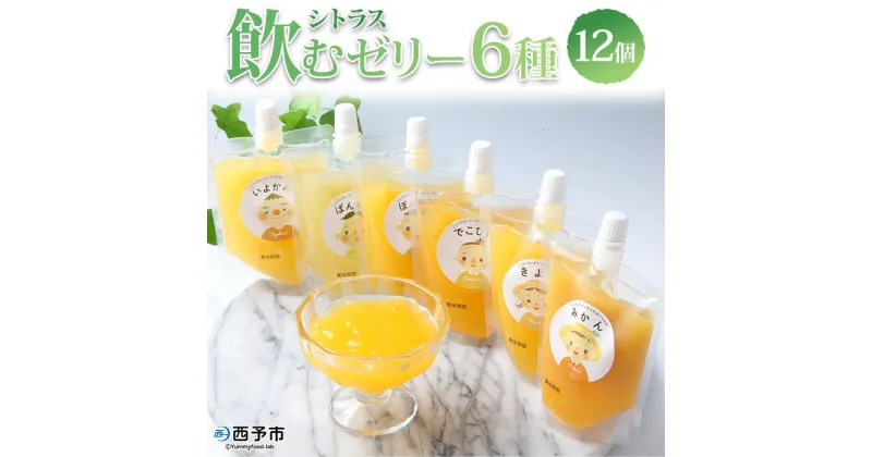 【ふるさと納税】＜シトラス飲むゼリー 150g×12個セット（みかん・清見タンゴール・デコヒメ・河内晩柑・いよかん・ぽんかん各2個）＞ ゼリー スイーツ 果物 フルーツ オレンジ きよみ 晩柑 果汁 柑橘 特産品 愛媛県 西予市【常温】『1か月以内に順次出荷予定』