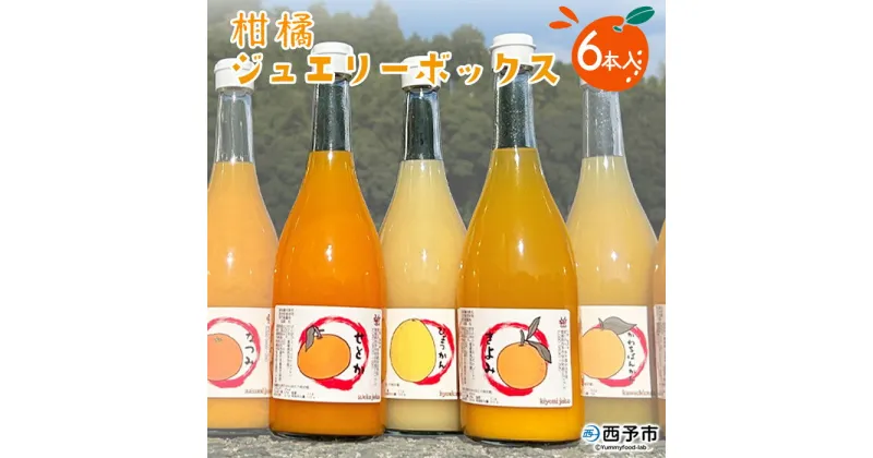 【ふるさと納税】＜西予市産柑橘ジュエリーボックス 720ml×6本入り（無添加果汁100％ジュース）＞ みかん 柑橘 果物 フルーツ ぽんかん しらぬい せとか 紅まどんな 特産品 渡江から一歩を踏み出す会 飲んで応援 愛媛県 西予市【常温】『1か月以内に順次出荷予定』