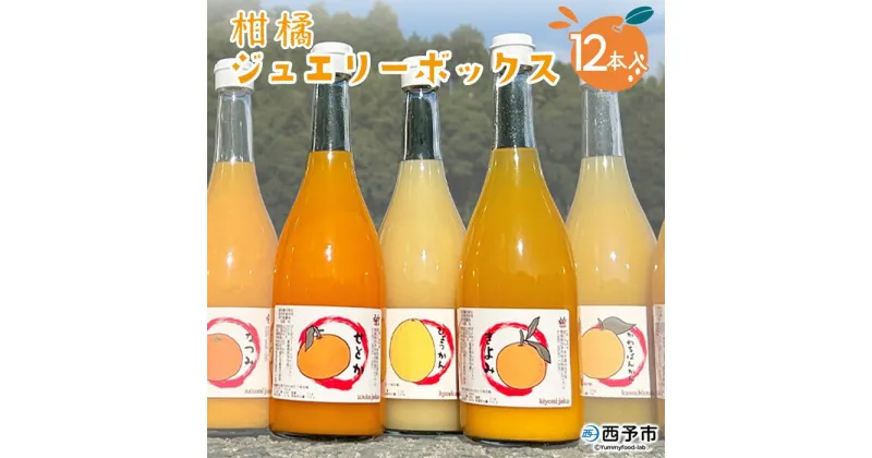 【ふるさと納税】＜西予市産柑橘ジュエリーボックス 720ml×12本入り（無添加果汁100％ジュース）＞ みかん 柑橘 果物 フルーツ ぽんかん しらぬい せとか 紅まどんな 特産品 渡江から一歩を踏み出す会 飲んで応援 愛媛県 西予市【常温】『1か月以内に順次出荷予定』