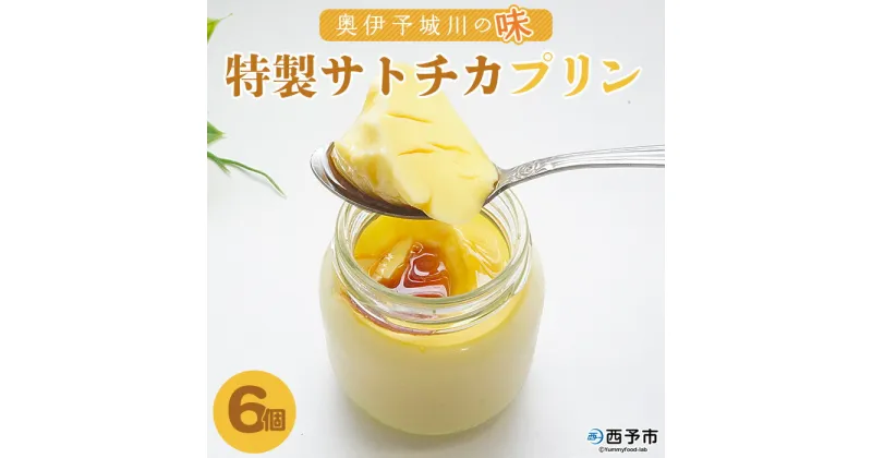 【ふるさと納税】＜奥伊予城川の味 特製サトチカプリン 100g×6個＞ スイーツ デザート ぷりん おやつ ティータイム のし対応可 お祝い 内祝い ギフト 贈答 贈り物 プレゼント 愛媛県 西予市【冷蔵】『1か月以内に順次出荷予定』