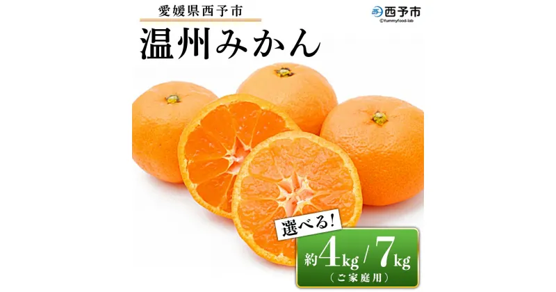 【ふるさと納税】先行予約受付 ＜愛媛県西予市産 温州みかん ご家庭用 約4kg／7kg＞ 訳あり わけあり 果物 フルーツ みかん ミカン 蜜柑 オレンジ 柑橘 選べる 食べて応援 特産品 宇都宮物産 愛媛県 西予市【常温】『2024年10月中旬～2025年1月中旬迄に順次出荷予定』