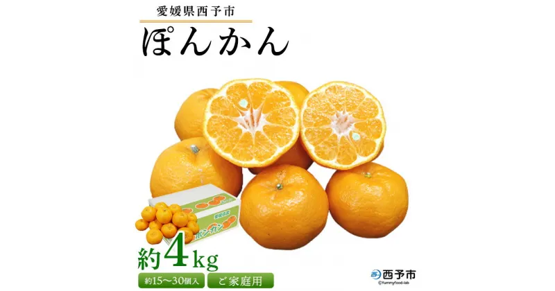 【ふるさと納税】先行予約受付＜愛媛県西予市産 ぽんかん ご家庭用 約4kg＞約15〜30個入り 訳あり 果物 くだもの フルーツ みかん ミカン オレンジ ポンカン 柑橘 特産品 愛媛県 西予市【常温】『2025年1月中旬～2月下旬迄に順次出荷予定』