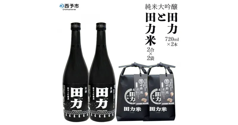 【ふるさと納税】＜純米大吟醸 田力（750ml×2本）と田力米（2合×2袋）セット＞※1か月以内に順次出荷します。日本酒 お米 酒米 松山三井 にこまる 特産品 晩酌 お祝い 内祝い 家飲み 宅飲み 中辛口 元見屋酒店 愛媛県 西予市【冷蔵】