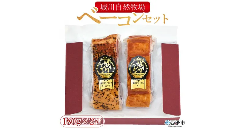 【ふるさと納税】＜城川自然牧場 ベーコンセット（180g×2種）＞ 城川ガーリックベーコン 豚肉 厚切り 国産 詰め合わせ 加工品 城川ファクトリー 特産品 贈答用 贈り物 愛媛県 西予市 【冷蔵】『1か月以内に順次出荷予定』